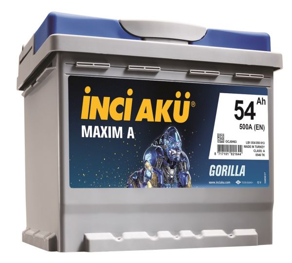 maxLB1_54_500 copy